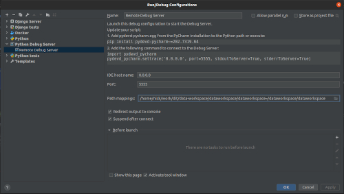 Python debug server